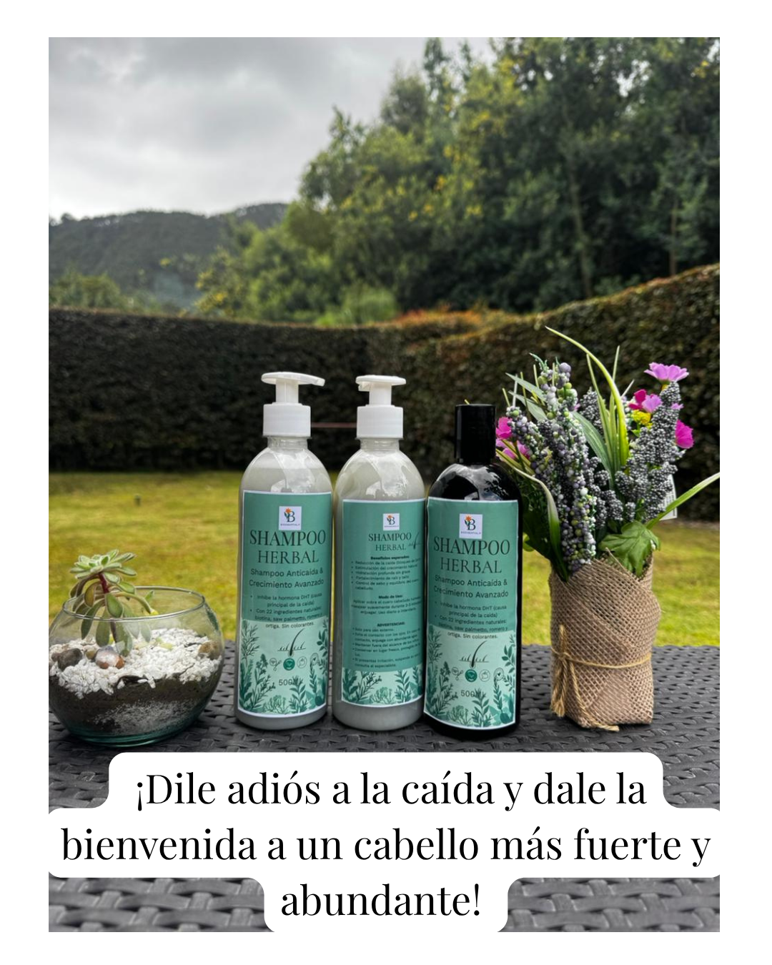 shampoo Anticaída y crecimiento Herbal intensivo