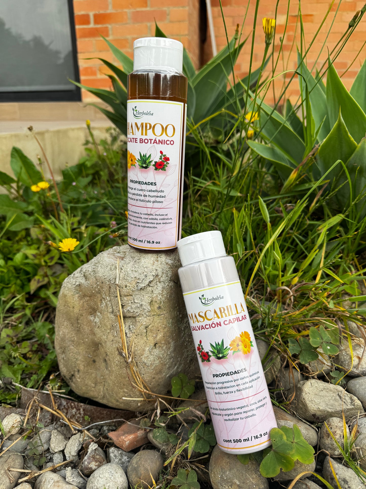 Shampu y Acondicionador para Cabello Dañado | Hidratación y Reparación Natural