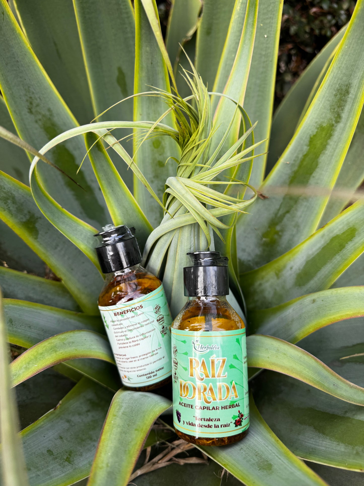 Aceite capilar anticaida