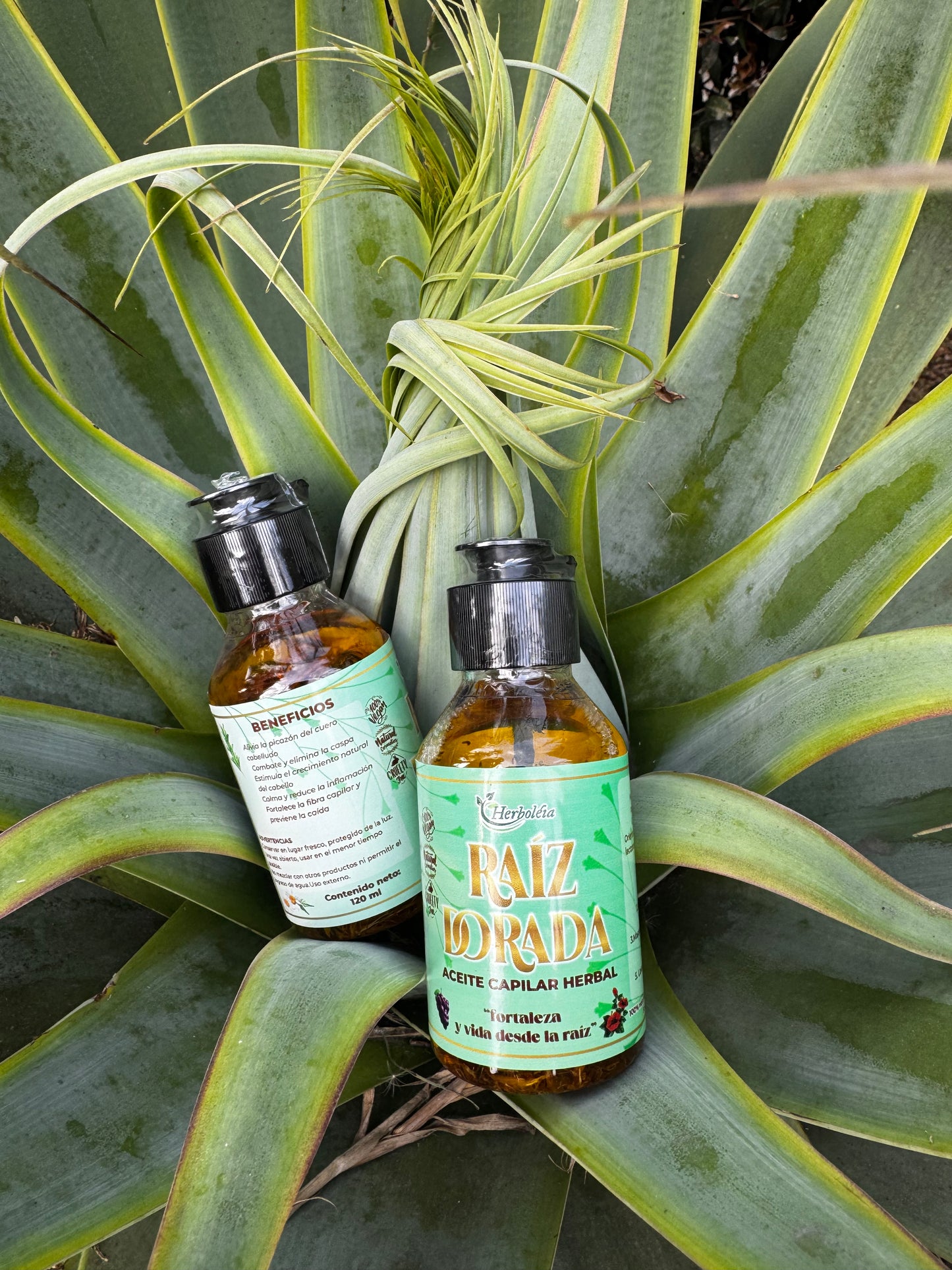 Aceite capilar anticaida