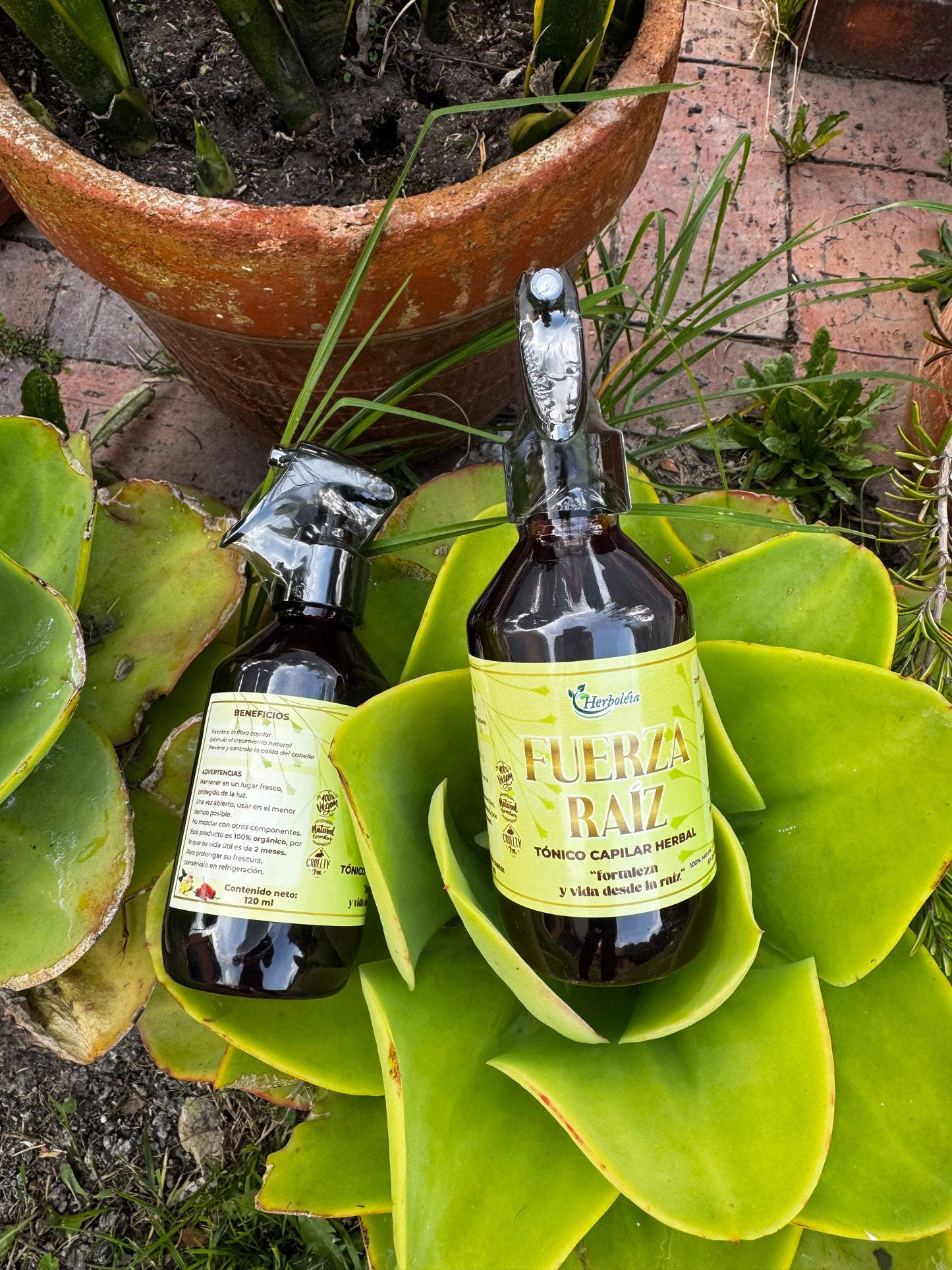 Tónico capilar anticaida