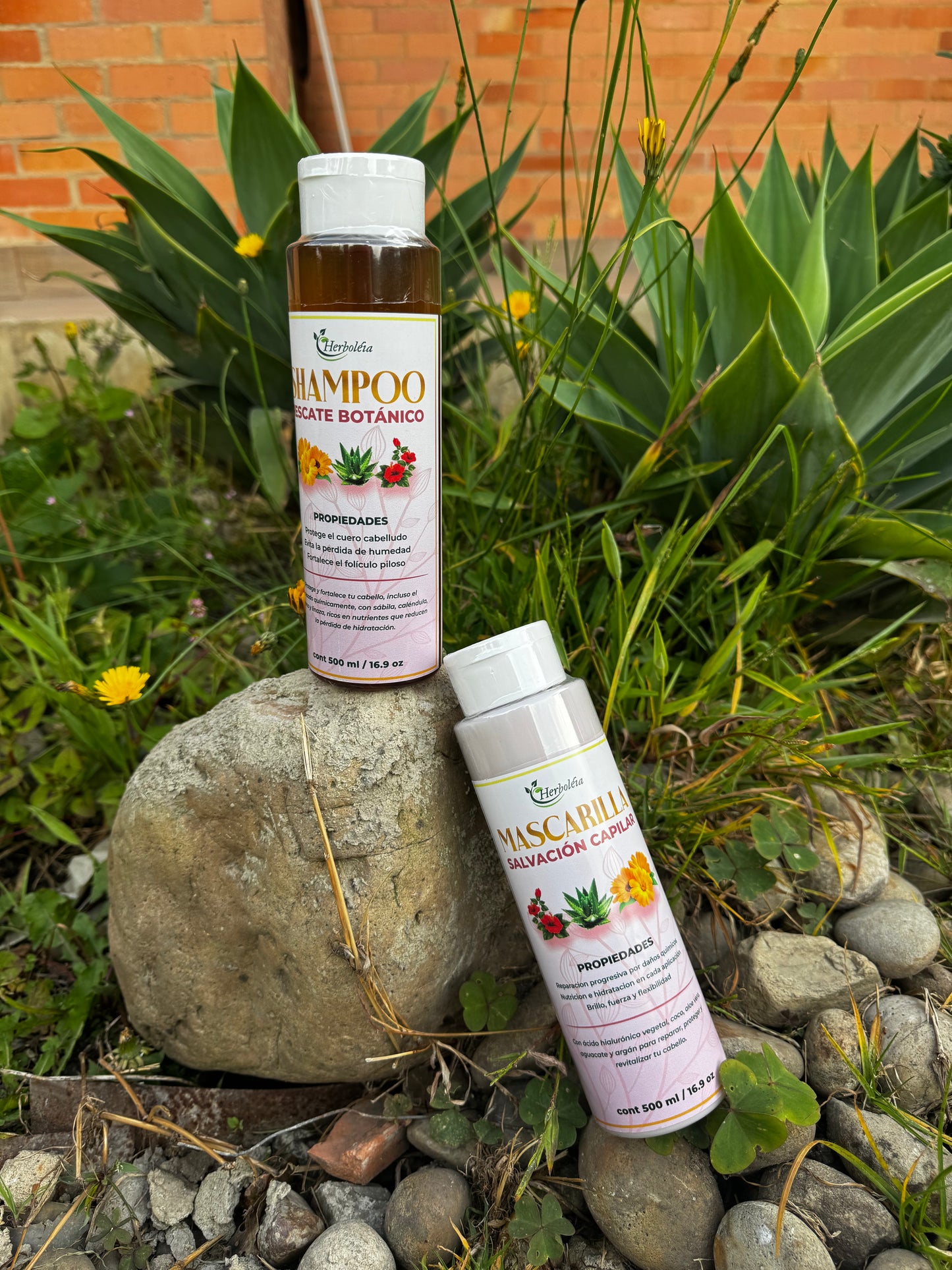Shampu y Acondicionador para Cabello Dañado | Hidratación y Reparación Natural