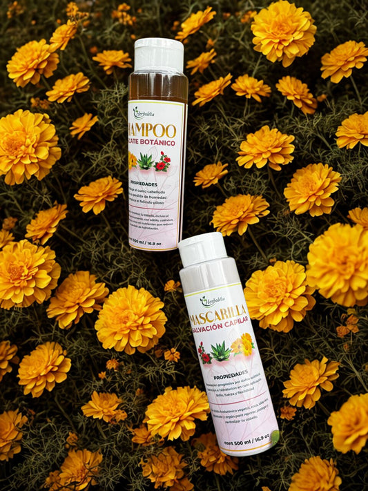 Shampu y Acondicionador para Cabello Dañado | Hidratación y Reparación Natural