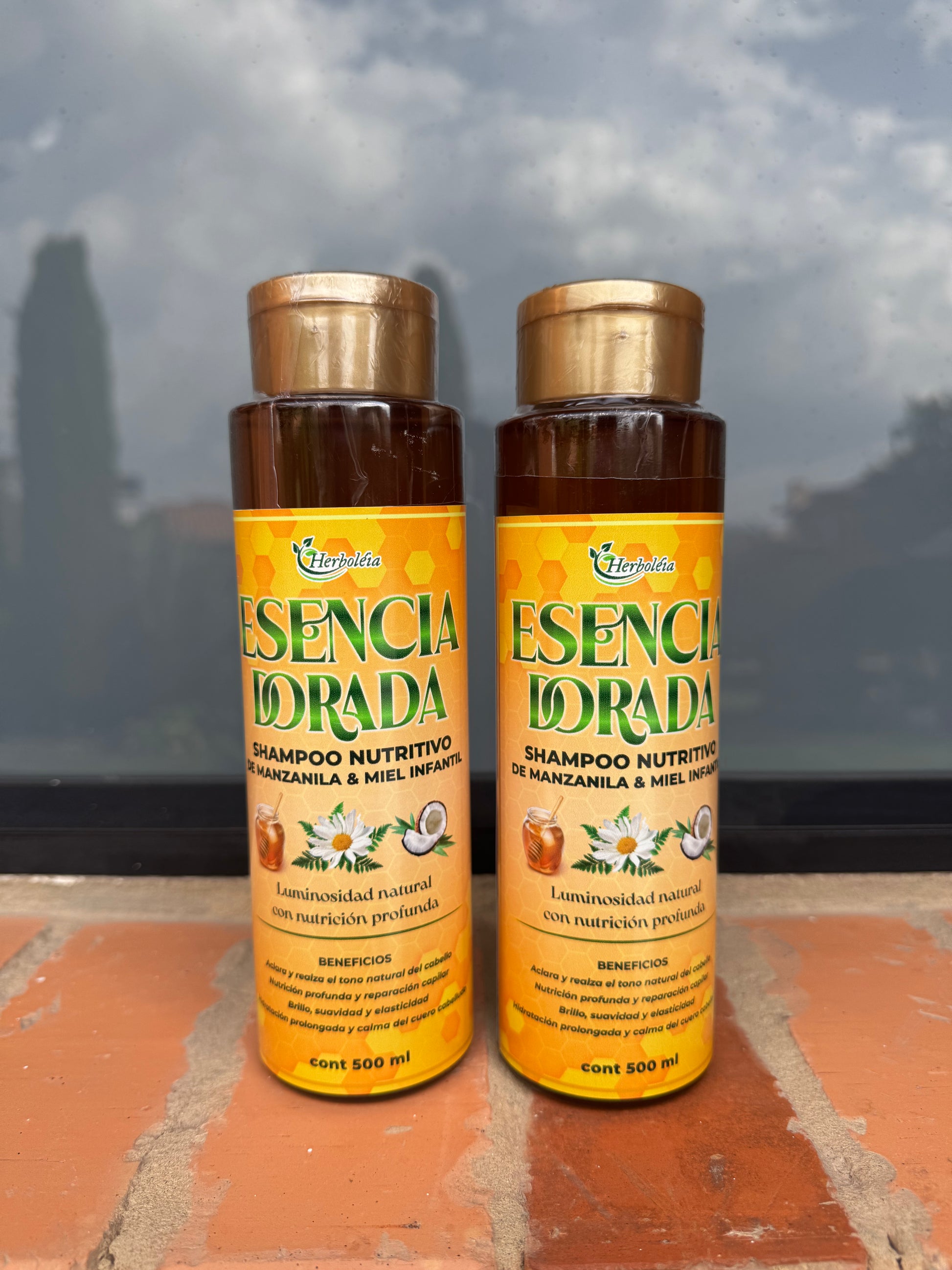 SHAMPU manzanilla niños, niñas y adultos