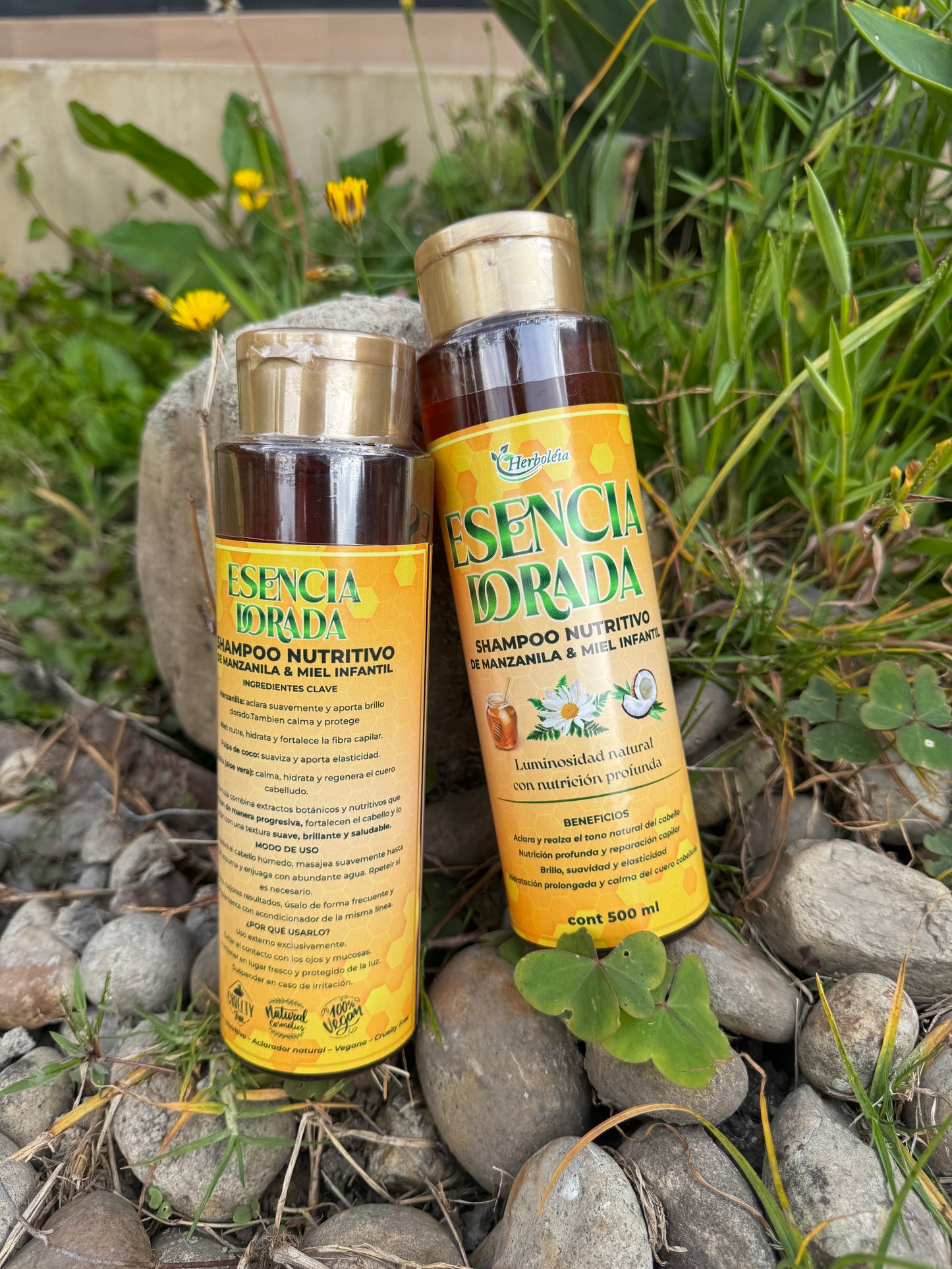 SHAMPU manzanilla niños, niñas y adultos