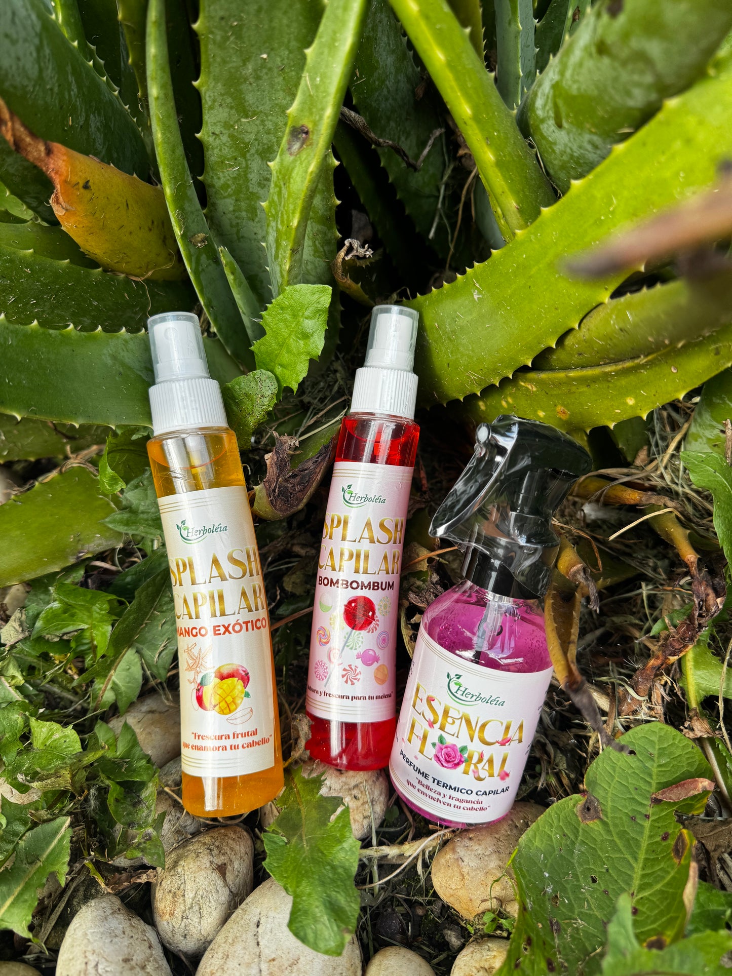aroma floral