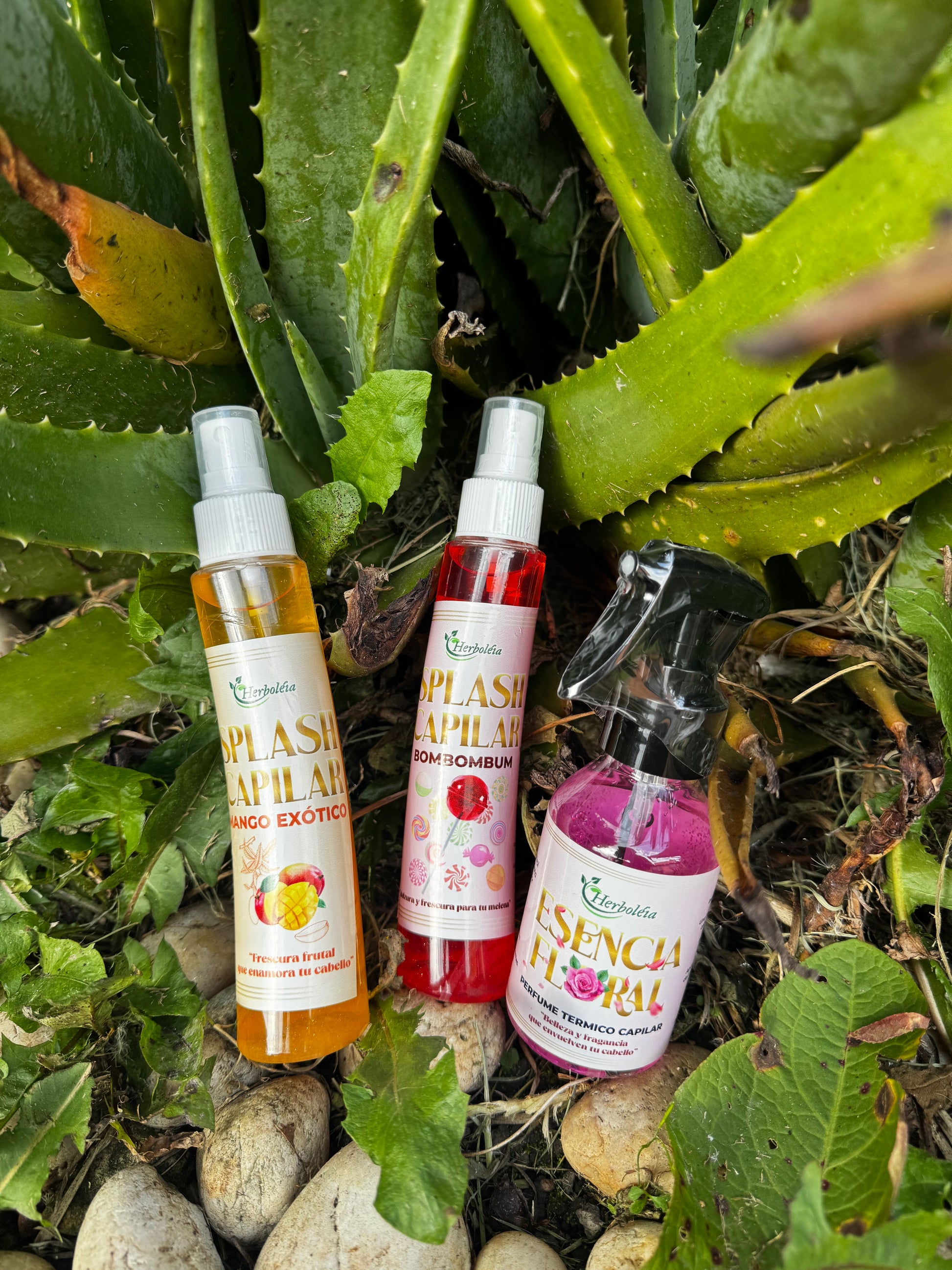 aroma floral